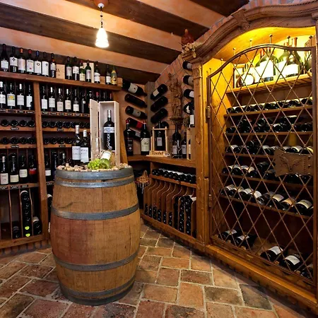 Hotel Alpin Tuxerhof